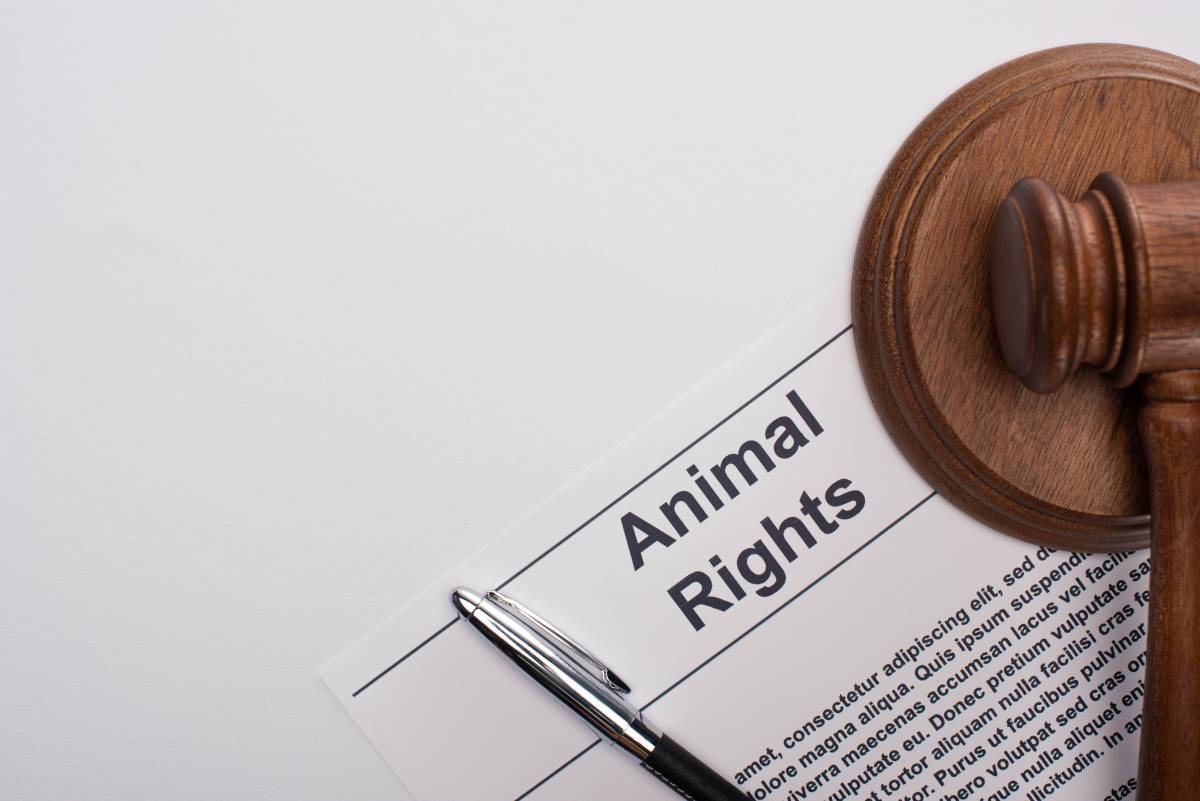 Petition starten in Fulda — Schritt für Schritt zur erfolgre