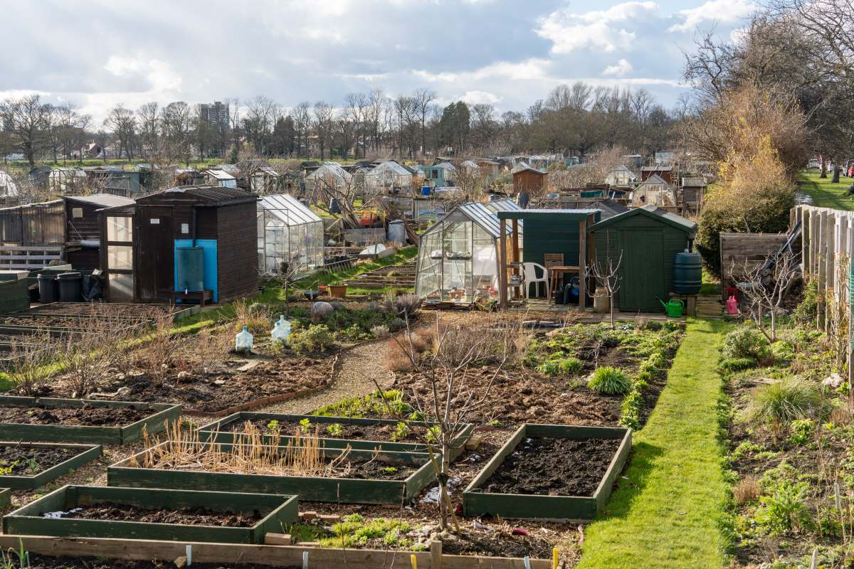 Schrebergarten in Fulda — Pacht, Regeln und praktische Tipps