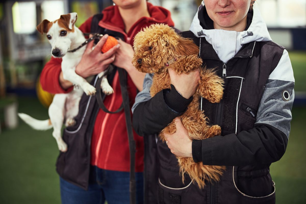 Tier aus dem Tierheim Fulda adoptieren statt kaufen